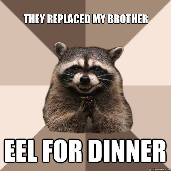 They replaced my brother eel for dinner - They replaced my brother eel for dinner  Evil Plotting Raccoon