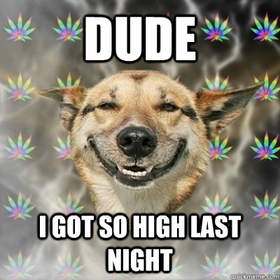 Dude I got so high last night   Stoner Dog