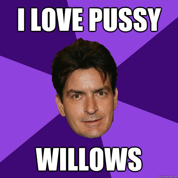 I love pussy willows  Clean Sheen