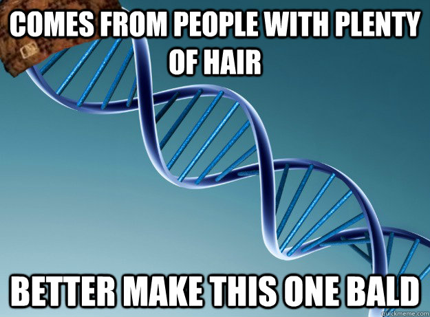 comes from people with plenty of hair better make this one bald - comes from people with plenty of hair better make this one bald  Scumbag Genetics