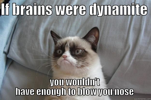 Brains dynamite - IF BRAINS WERE DYNAMITE  YOU WOULDN'T HAVE ENOUGH TO BLOW YOU NOSE Grumpy Cat