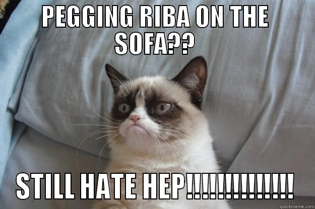 PEGGING RIBA ON THE SOFA?? STILL HATE HEP!!!!!!!!!!!!!! Grumpy Cat