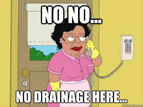 No No... No drainage here... - No No... No drainage here...  Family Guy Maid Meme