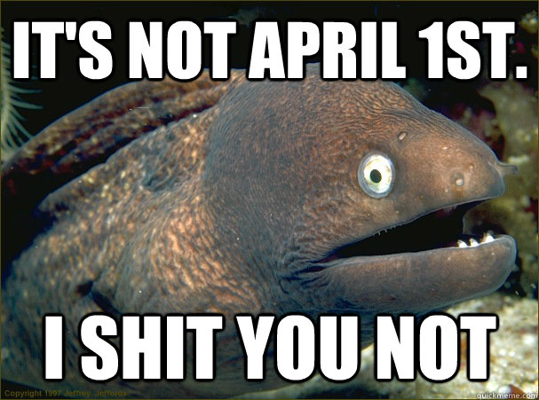 IT's not april 1st. i shit you not  Bad Joke Eel