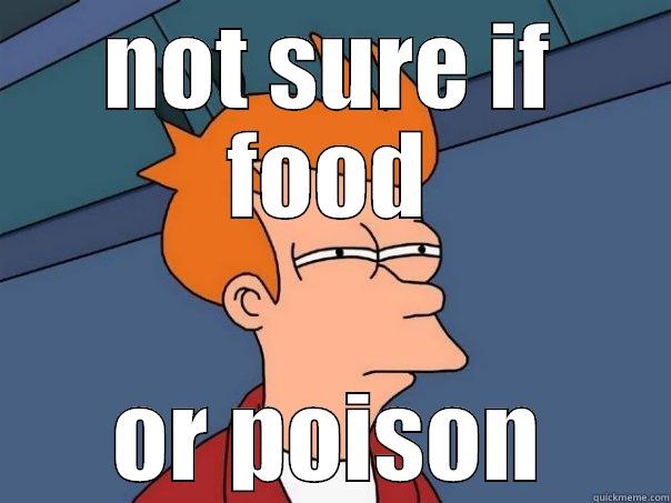 Not sure if food or poison - NOT SURE IF FOOD OR POISON Futurama Fry