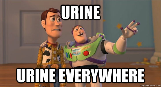 Urine Urine EVERYWHERE  Toy Story Everywhere