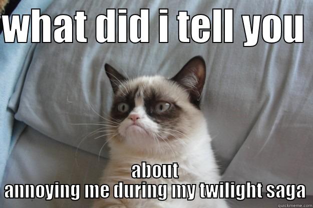 stop annoying me - WHAT DID I TELL YOU  ABOUT ANNOYING ME DURING MY TWILIGHT SAGA Grumpy Cat