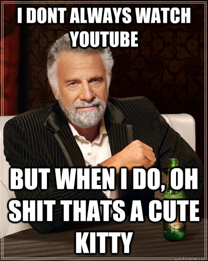 I dont always watch youtube but when I do, oh shit thats a cute kitty  The Most Interesting Man In The World