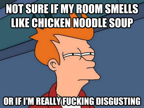 Not sure if my room smells like chicken noodle soup Or if I'm really fucking disgusting  Futurama Fry