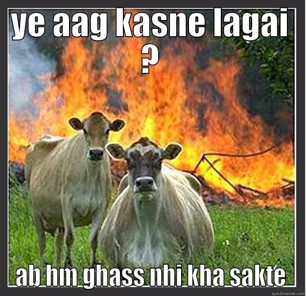 YE AAG KASNE LAGAI ? AB HM GHASS NHI KHA SAKTE Evil cows