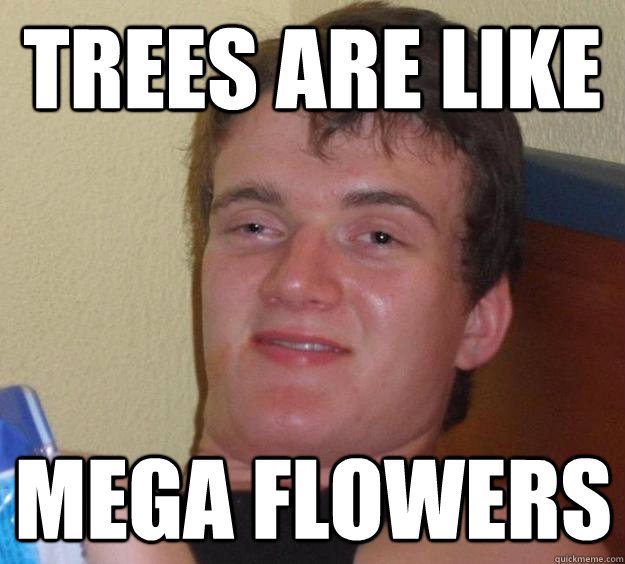 trees are like  mega flowers  10 Guy