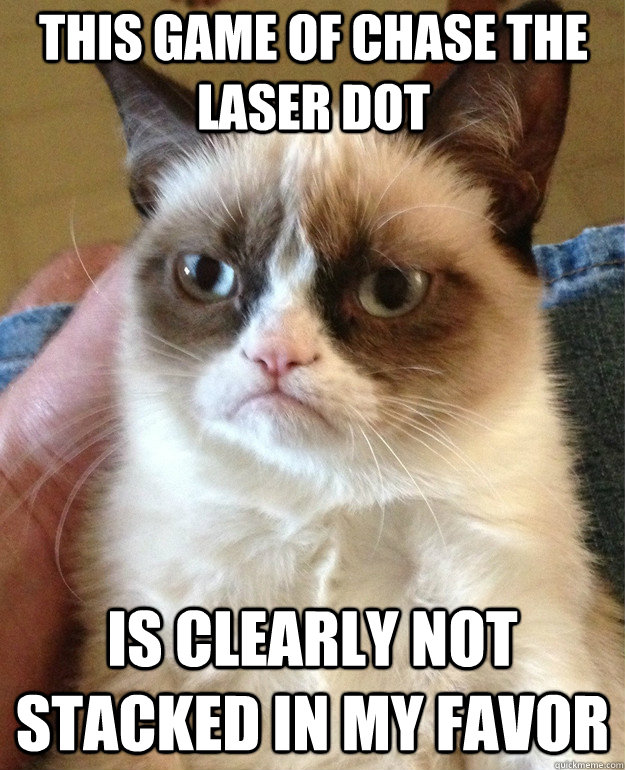 This game of chase the laser dot is clearly not stacked in my favor  Grumpy Cat