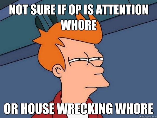 Not sure if OP is attention whore Or house wrecking whore - Not sure if OP is attention whore Or house wrecking whore  Futurama Fry