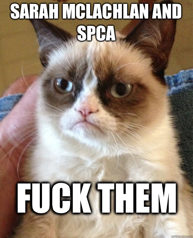 Sarah Mclachlan and SPCA Fuck them  Grumpy Cat