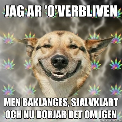 Jag ar 'o'verbliven men baklanges, sjalvklart och nu borjar det om igen  Stoner Dog