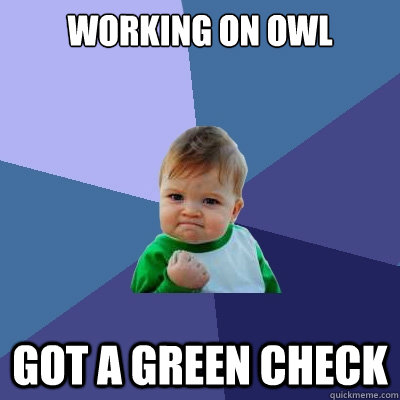 Working on owl Got a green check - Working on owl Got a green check  Success Kid