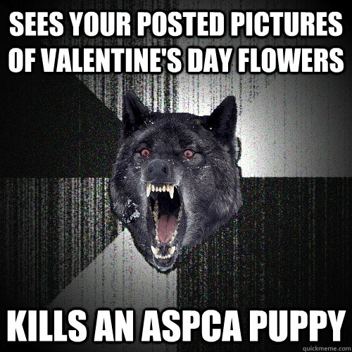 Sees your posted pictures of Valentine's Day flowers kills an ASPCA puppy  Insanity Wolf