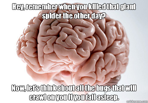 Hey, remember when you killed that giant spider the other day? Now, let's think about all the bugs that will crawl on you if you fall asleep.   Scumbag Brain