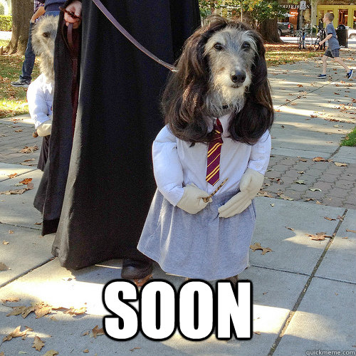  soon -  soon  dog soon