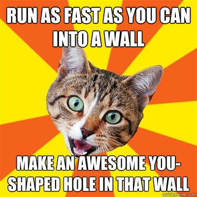 Run as fast as you can into a wall Make an awesome you-shaped hole in that wall  Bad Advice Cat