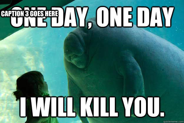 One day, one day i will kill you. Caption 3 goes here  Overlord Manatee