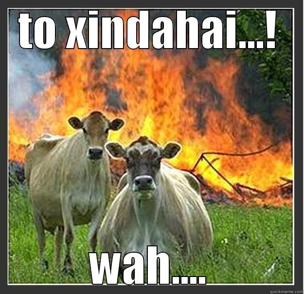 TO XINDAHAI...! WAH.... Evil cows