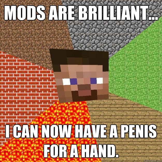 Mods are brilliant... I can now have a penis for a hand.  Minecraft