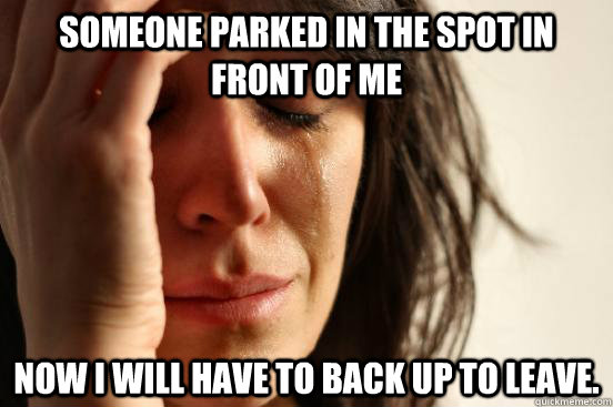 Someone parked in the spot in front of me Now I will have to back up to leave. - Someone parked in the spot in front of me Now I will have to back up to leave.  First World Problems