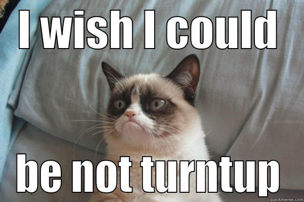 I WISH I COULD BE NOT TURNTUP Grumpy Cat