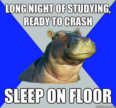 long night of studying, ready to crash sleep on floor  Skeptical Hippo