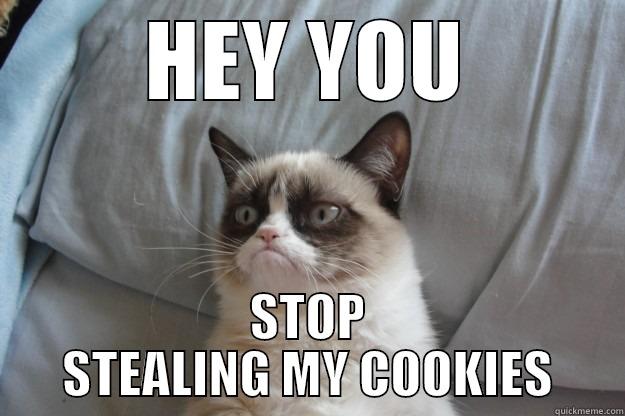 HEY YOU STOP STEALING MY COOKIES Grumpy Cat