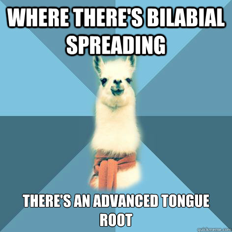 Where there's Bilabial Spreading There's an advanced tongue root  Linguist Llama