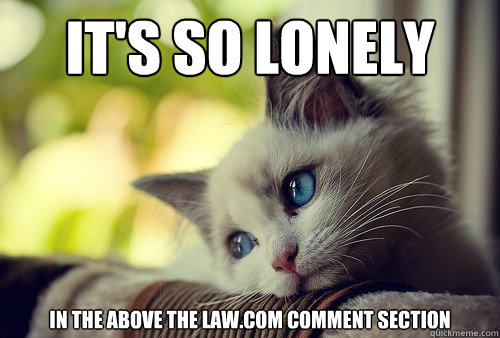 It's so lonely In the above the law.com comment section  First World Problems Cat