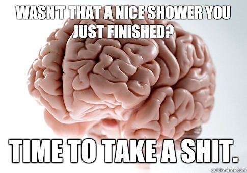 Wasn't that a nice shower you just finished? Time to take a shit.  Scumbag Brain