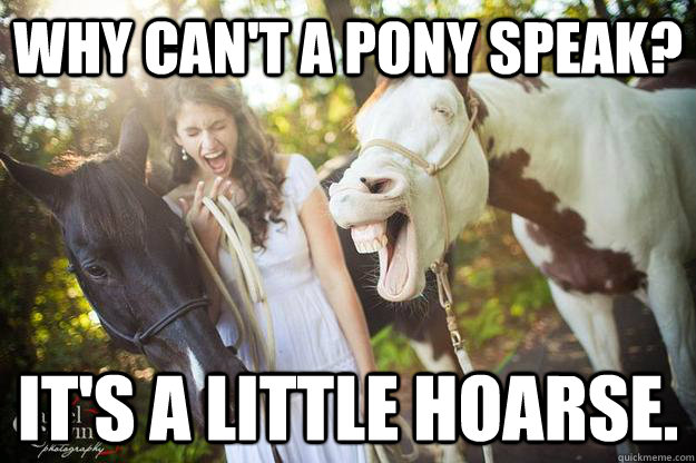 Why can't a pony speak? It's a little hoarse. - Why can't a pony speak? It's a little hoarse.  Misc