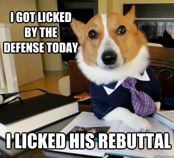 I got licked by the defense today i licked his rebuttal  Lawyer Dog