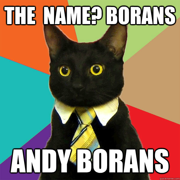 The  name? borans andy borans  Business Cat