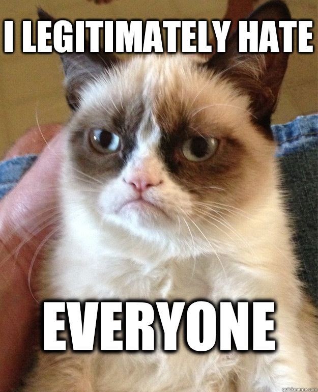 I legitimately hate Everyone  Grumpy Cat