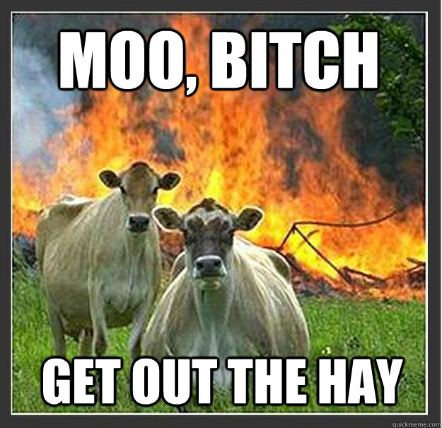 moo, bitch get out the hay  Evil cows