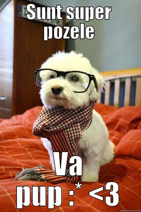 SUNT SUPER POZELE VA PUP :* <3 Hipster Dog