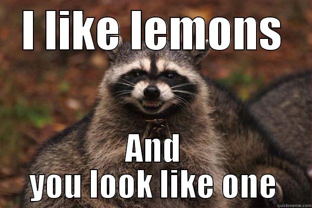 I LIKE LEMONS AND YOU LOOK LIKE ONE Evil Plotting Raccoon