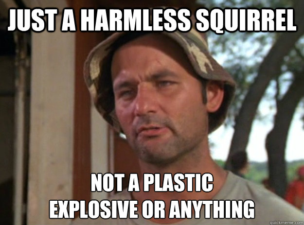 Just a harmless squirrel Not a plastic 
explosive or anything  Good Guy Carl Spackler