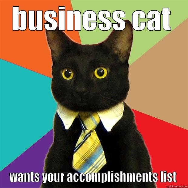 what have you accomplished - BUSINESS CAT WANTS YOUR ACCOMPLISHMENTS LIST Business Cat