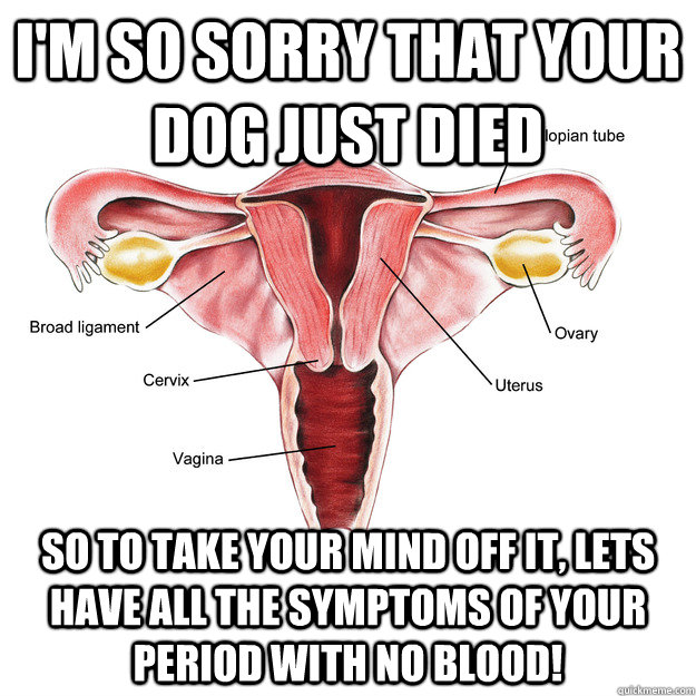 I'm so sorry that your dog just died So to take your mind off it, lets have all the symptoms of your period with no blood!  Scumbag Uterus