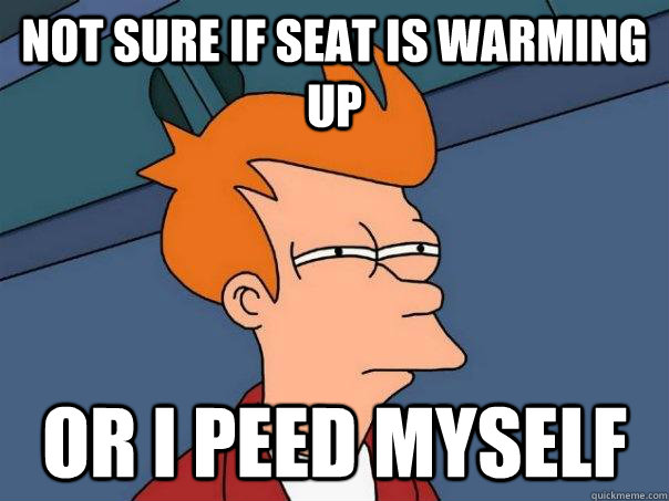 Not sure if seat is warming up or i peed myself - Not sure if seat is warming up or i peed myself  Futurama Fry