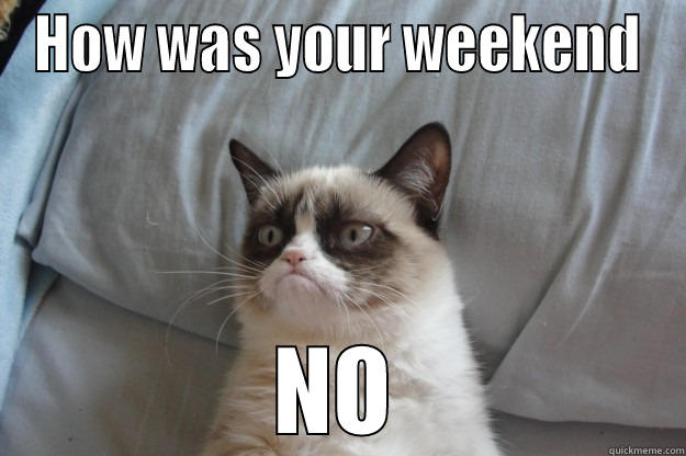 HOW WAS YOUR WEEKEND NO Grumpy Cat