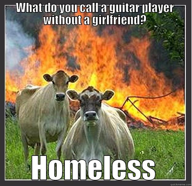 WHAT DO YOU CALL A GUITAR PLAYER WITHOUT A GIRLFRIEND? HOMELESS Evil cows