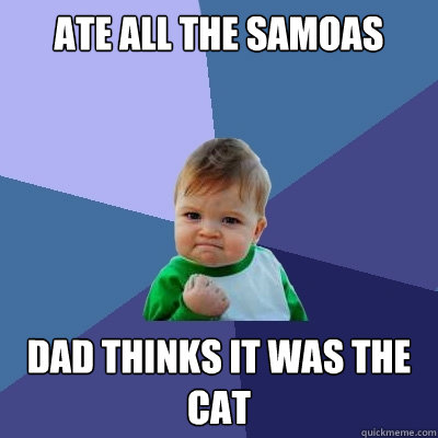 Ate all the samoas dad thinks it was the cat  Success Kid