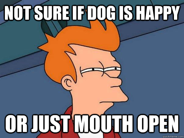 Not sure if dog is happy  Or just mouth open  Futurama Fry