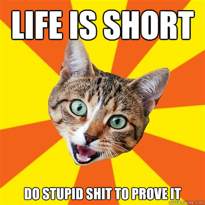 LIFE IS SHORT  do stupid shit to prove it  Bad Advice Cat